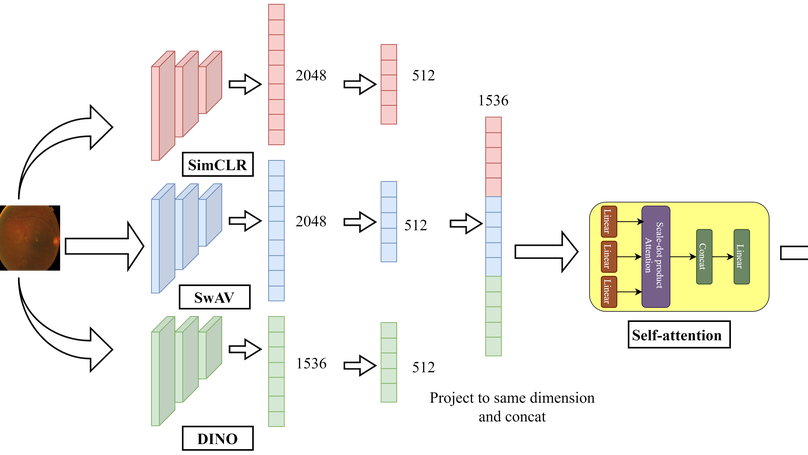 How Transferable Are Self-supervised Features in Medical Image Classification Tasks?